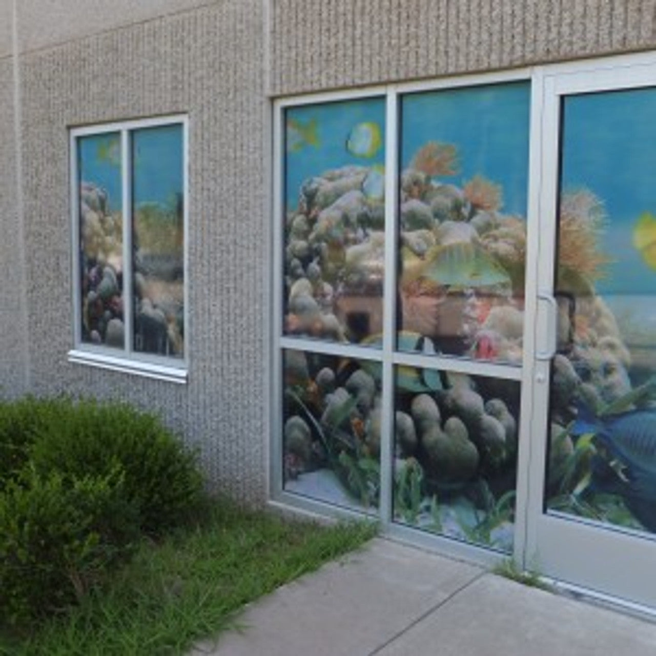 WINDOW GRAPHICS