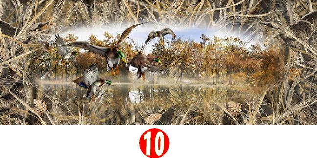 MALLARDS TAILGATE WRAP