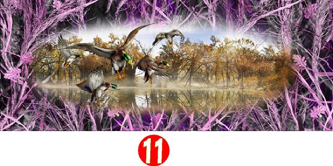 MALLARDS TAILGATE WRAP