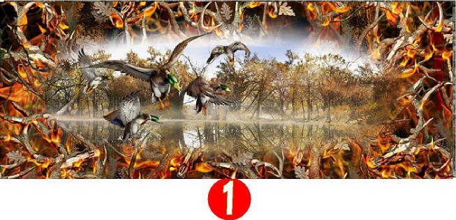 MALLARDS TAILGATE WRAP