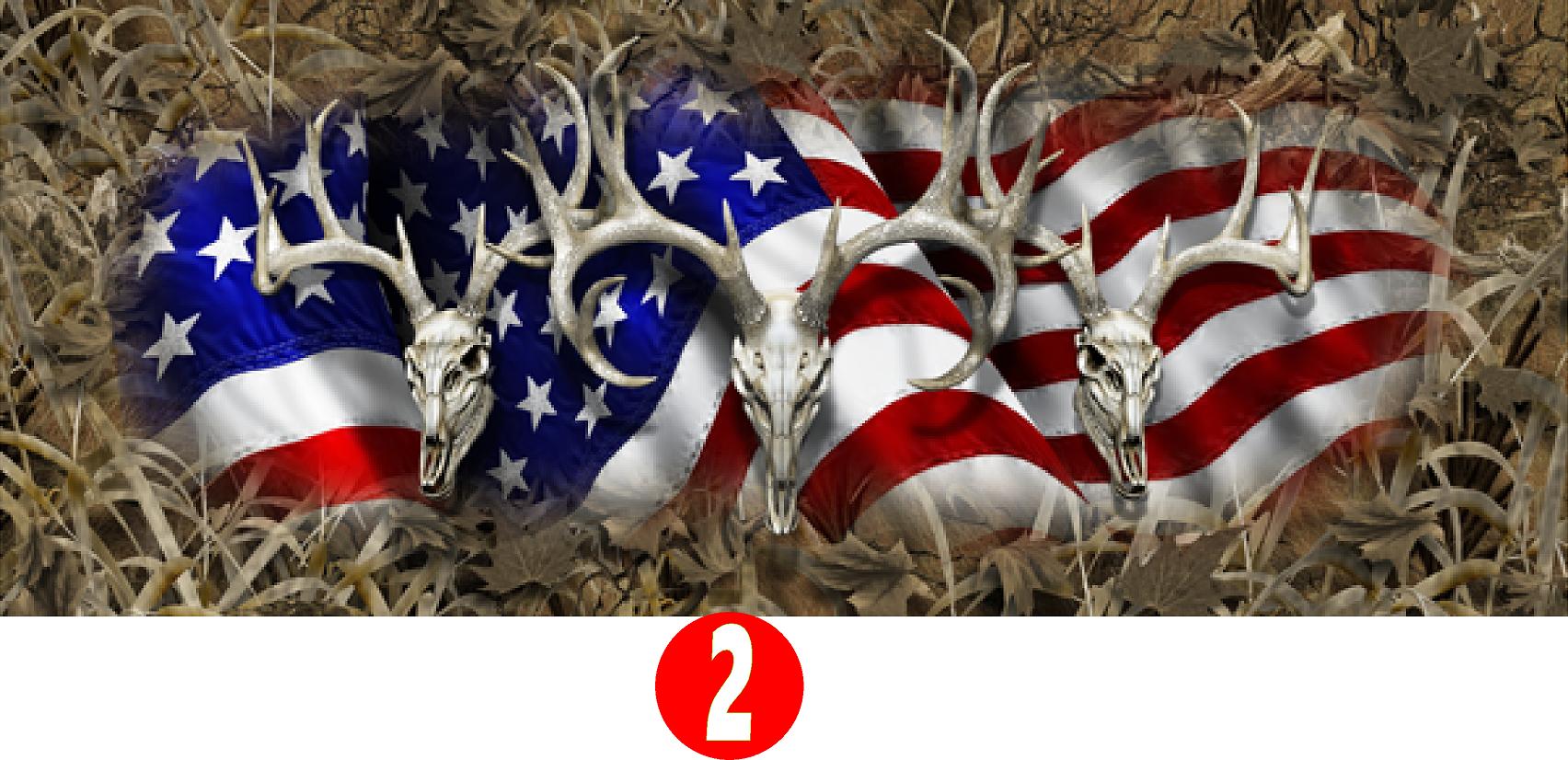 AMERICAN BUCK TAILGATE WRAP