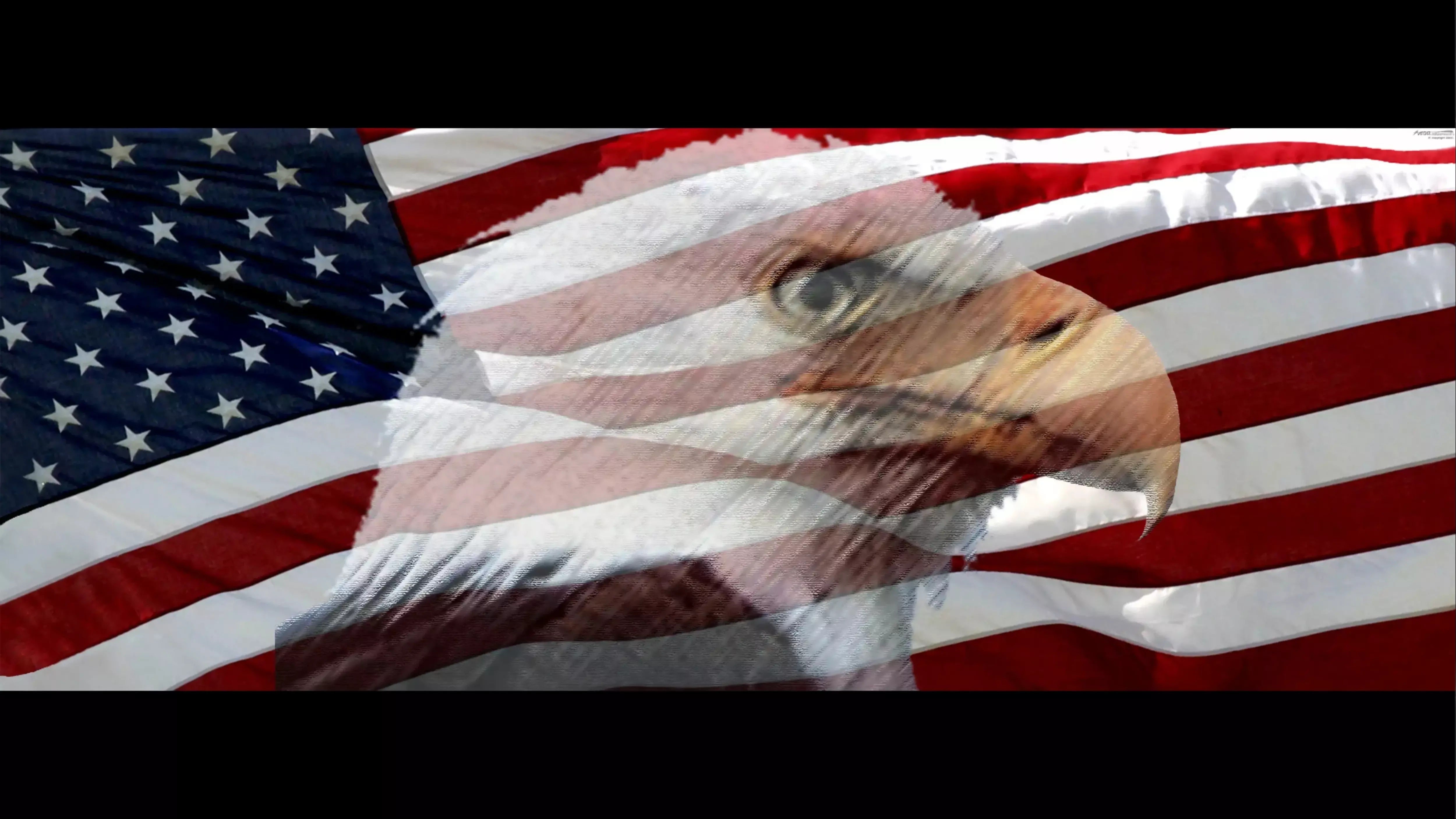 a close-up of an eagle's head, with the American flag in the background.