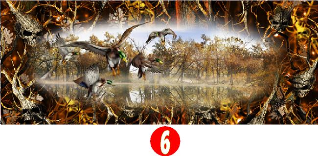 MALLARDS TAILGATE WRAP