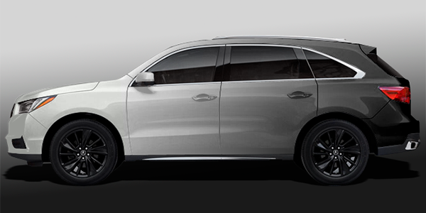 GRADIENT VEHICLE WRAPS (BG_01)