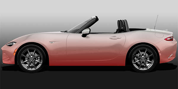 GRADIENT VEHICLE WRAPS (WG_003)