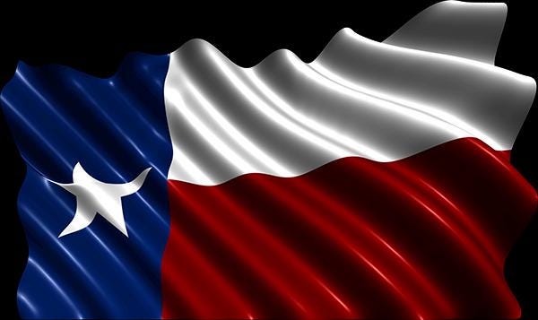Texas Flag Rear Window Perf Decal – Trucks, SUVs & Vans
