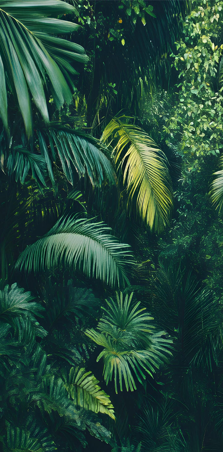 Jungle View Vinyl Door Wrap – Peel and  Stick Vinyl Door Decal