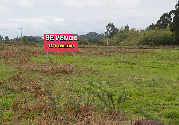 Large Commercial Signs